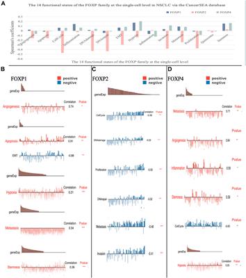 FOXP family DNA methylation correlates with immune infiltration and prognostic value in NSCLC